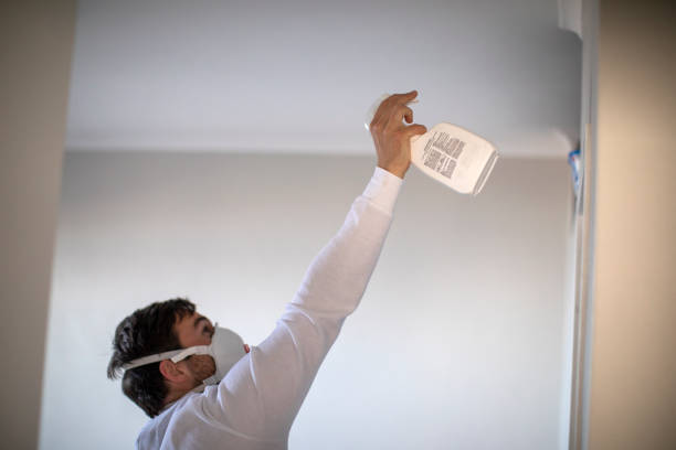 Certified Mold Removal in De Soto, MO