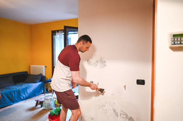 Best Commercial Mold Removal  in De Soto, MO